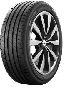 225/45 R19 96W XL